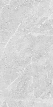 Neodom Eva Grey Polished 60x120 / Неодом Ева Грей Полишед 60x120 